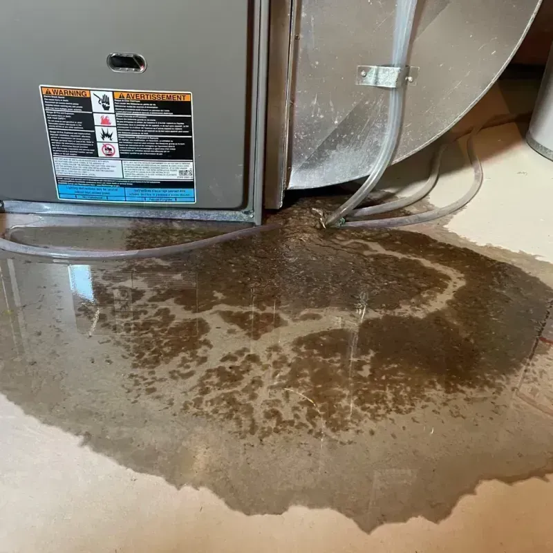 Appliance Leak Cleanup in Custer County, CO